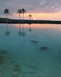 Taken with Canon EOS 1Ds wide angle lens. A peaceful mome... by Yves Rubin 